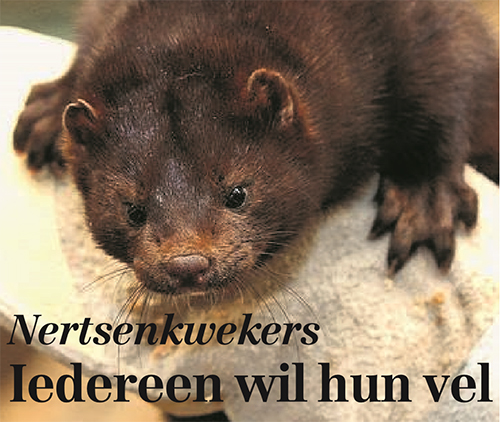 KW Nertsendossier